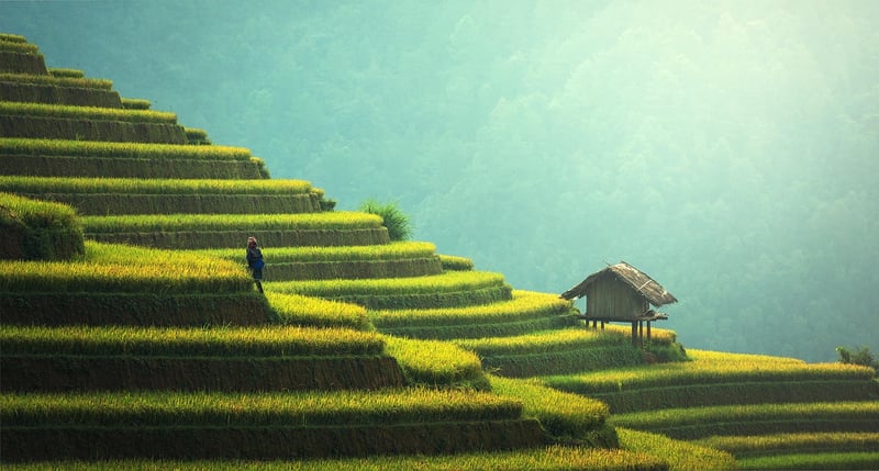Sustainable Masterpieces